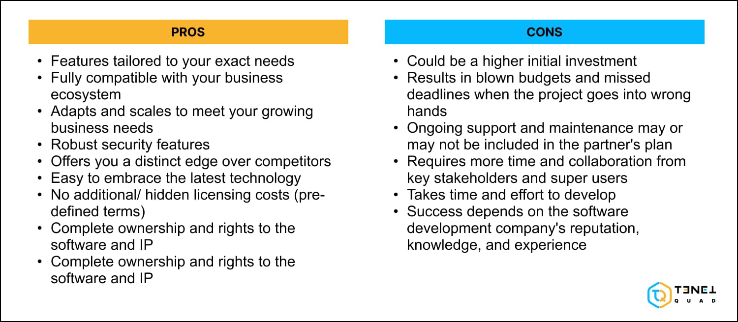 advantages and disadvantages of custom software development