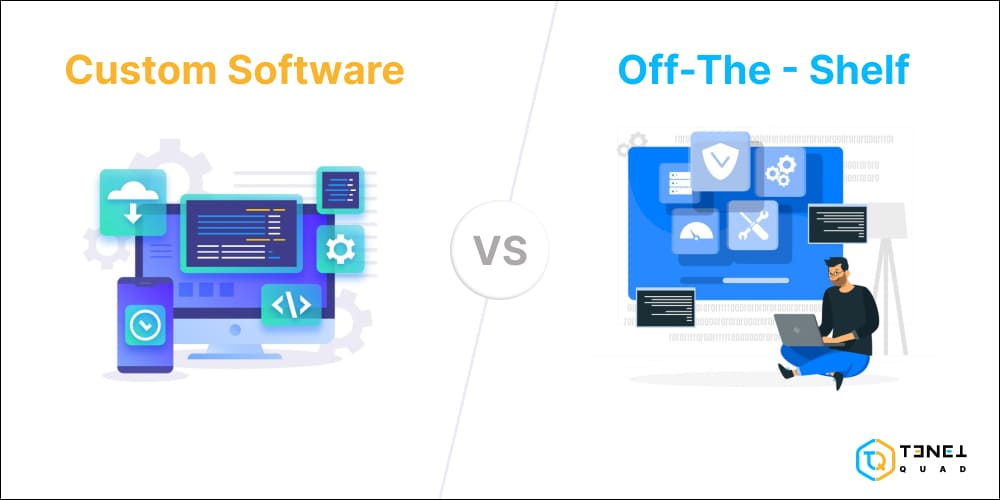 custom_development_vs_off-the-shelf_software_intro