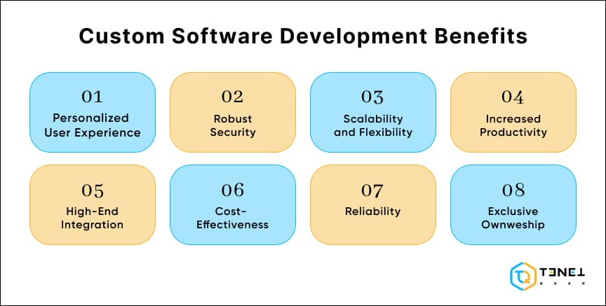 custom software development benefits 