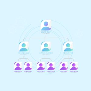 company structure and team dynamics