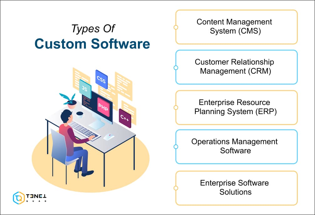 categories of custom software solutions
